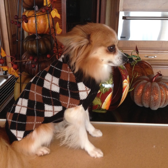 Meet your Posher, Linda - Picture 1 of 2